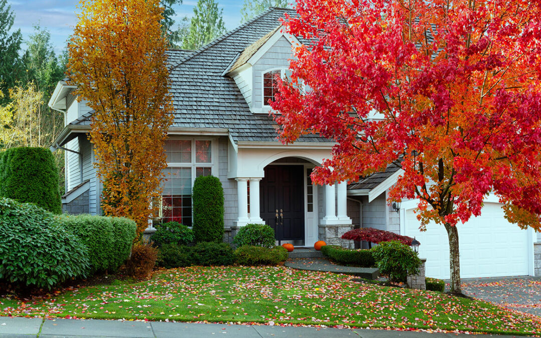 autumn season as leaves turn bright red